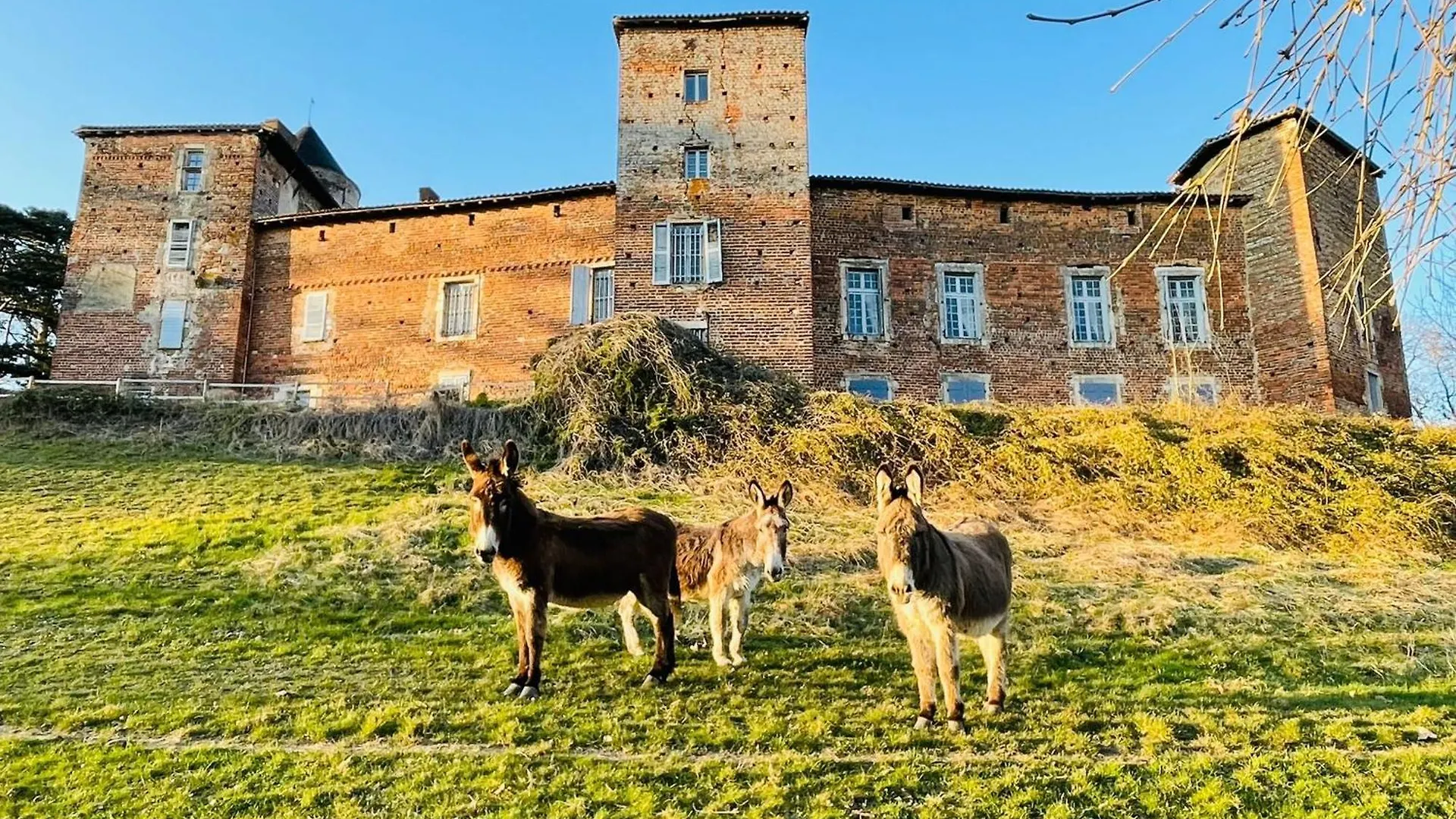 Chateau Du Montellier Le Montellier 0*,  France